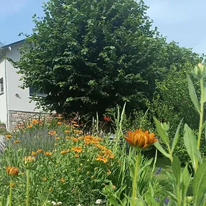  Bed and breakfast Le Domaine De Moise